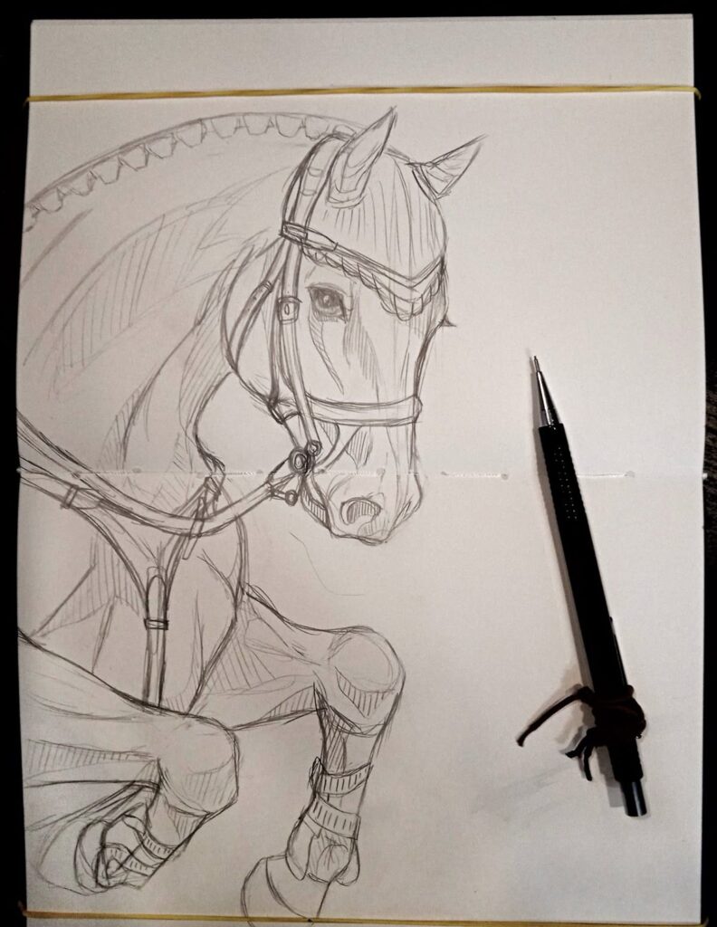 3697d117b227bd3aa8c1765960feeb88 Sketch of a horse with tack, pencil beside, on sketchbook. Equestrian art illustration. | Sky Rye Design Sketch of a horse with tack, pencil beside, on sketchbook. Equestrian art illustration.