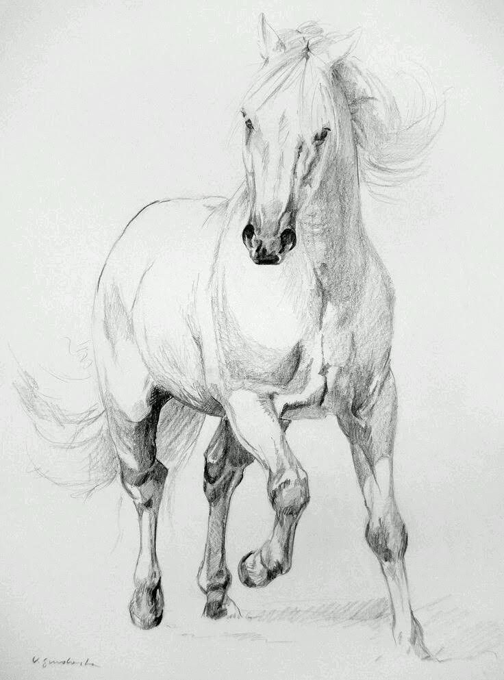 3e319a0066920dc479510764e903c23a Sketch of a galloping horse, showcasing dynamic movement and graceful lines in pencil drawing. | Sky Rye Design Sketch of a galloping horse, showcasing dynamic movement and graceful lines in pencil drawing.