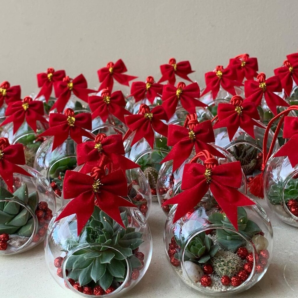 Glass terrariums with succulents, adorned with festive red bows and ornaments, perfect for holiday decor.