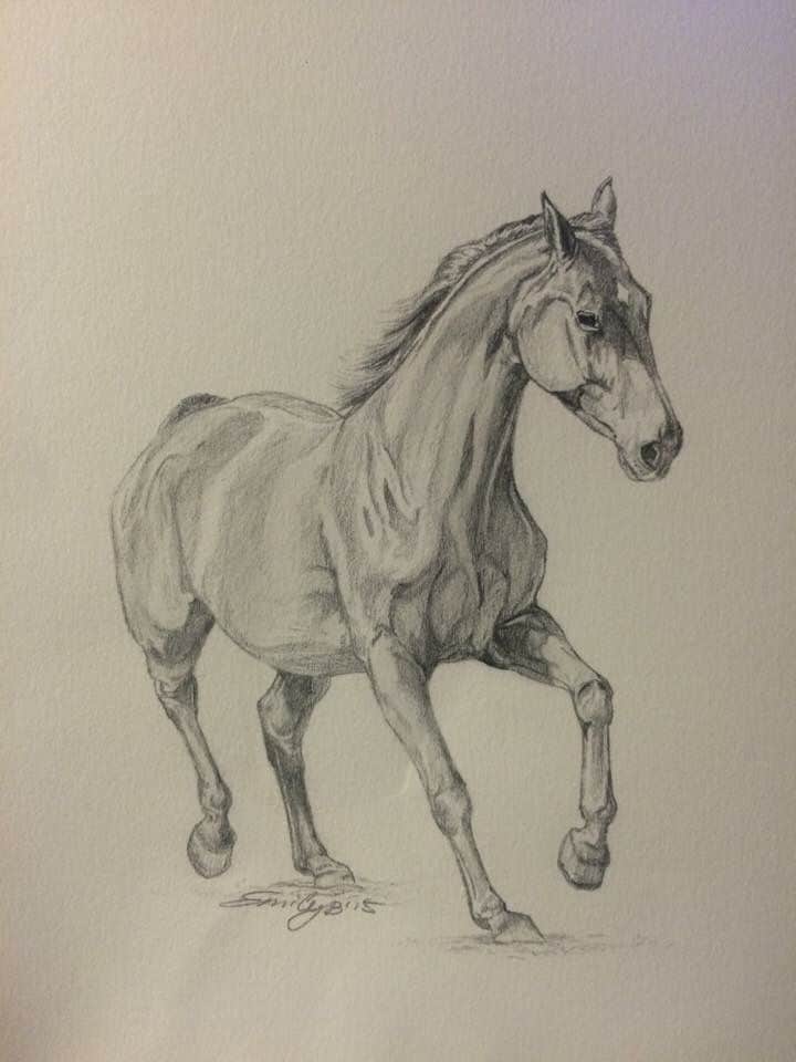 4a2da828c344790720a55ae994de9fb6 Graphite drawing of a galloping horse showcasing detailed anatomy and dynamic movement on textured paper. | Sky Rye Design Graphite drawing of a galloping horse showcasing detailed anatomy and dynamic movement on textured paper.