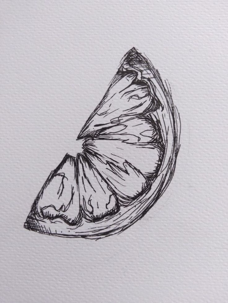 Hand-drawn sketch of a citrus fruit slice on textured paper, showcasing intricate details and shading.