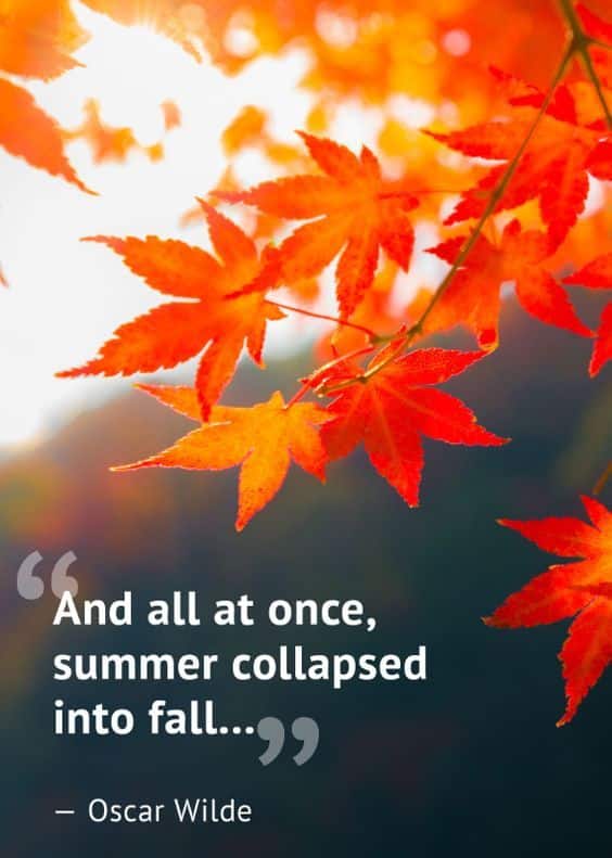 Vibrant autumn leaves with Oscar Wilde quote: And all at once, summer collapsed into fall...