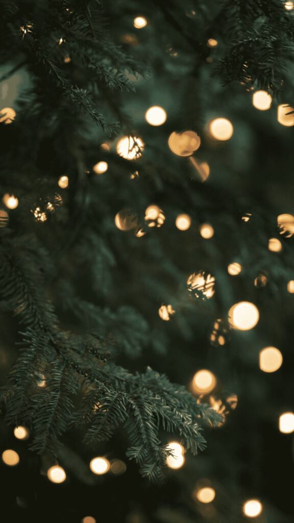 60+ FREE Aesthetic Christmas Wallpapers For A Festive Phone Evergreen branches adorned with warm, glowing bokeh lights, creating a festive, serene holiday atmosphere. | Sky Rye Design Evergreen branches adorned with warm, glowing bokeh lights, creating a festive, serene holiday atmosphere.
