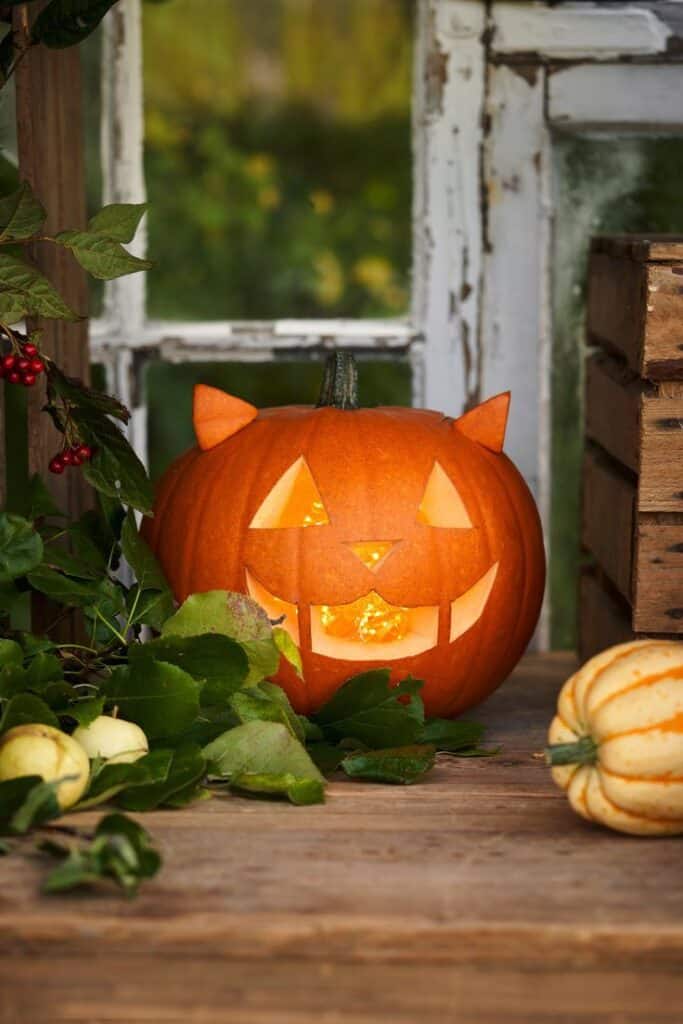 Carved pumpkin with cat face, glowing at night, surrounded by leaves and gourds on rustic wooden table.