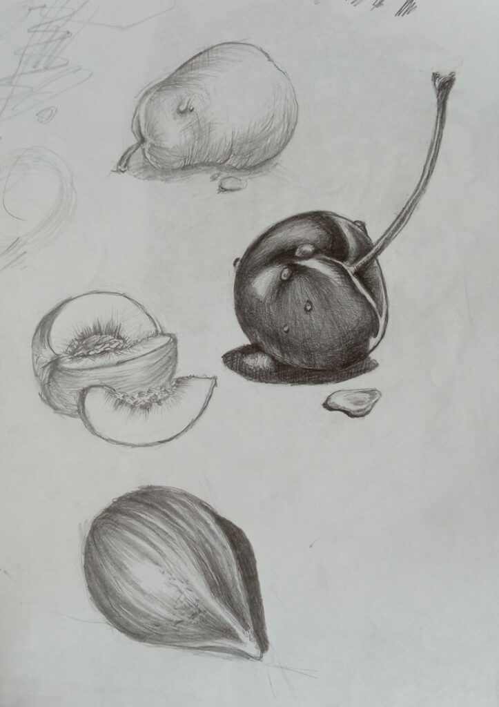 Pencil sketch of various fruits including a pear, cherry, cut peach, and onion on a simple background.