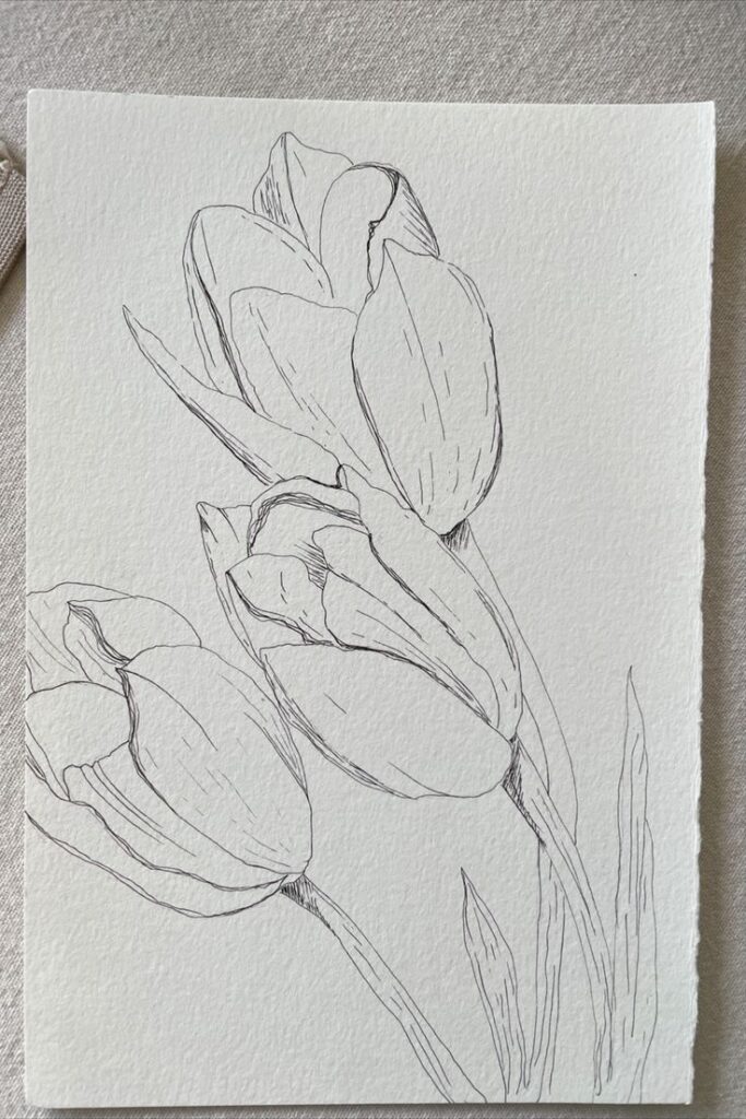 68f268d1c850fa72699c9ab969c1c6d0 Line drawing of tulips on textured paper, showcasing elegant floral details and minimalistic style. | Sky Rye Design Line drawing of tulips on textured paper, showcasing elegant floral details and minimalistic style.