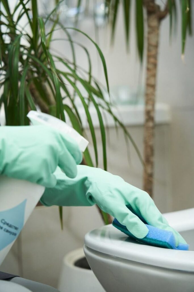 _ 7 Person in gloves cleaning a toilet with sponge and spray bottle, plant in background. | Sky Rye Design Person in gloves cleaning a toilet with sponge and spray bottle, plant in background.