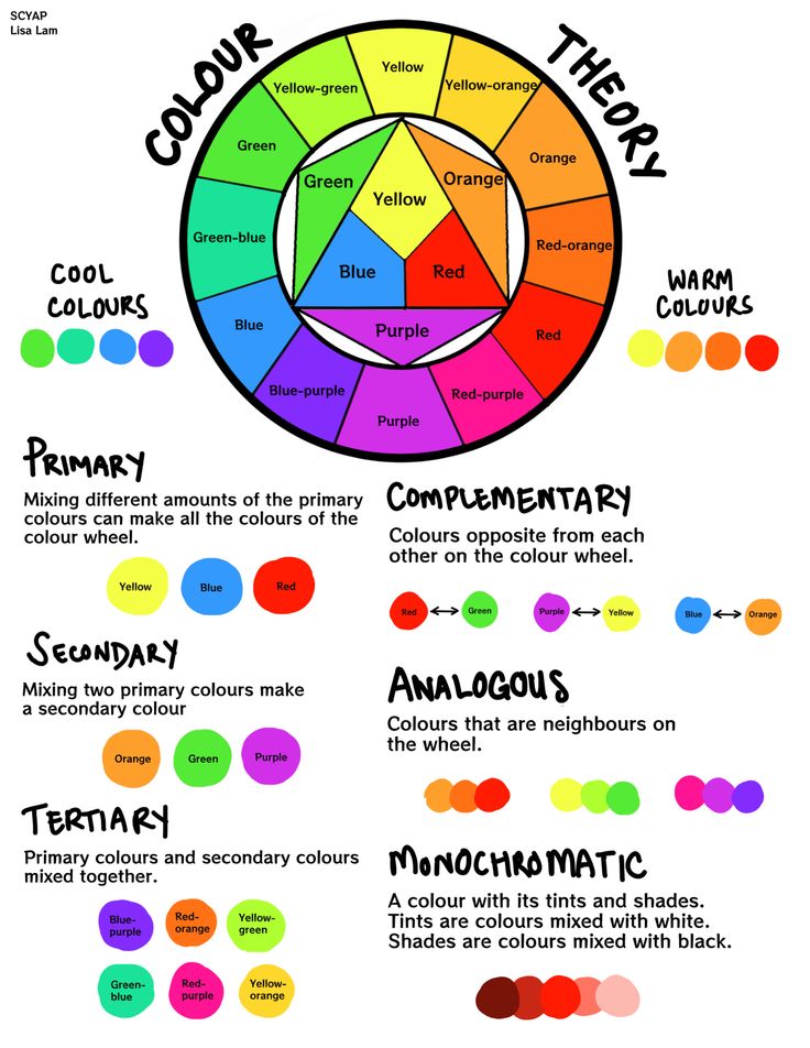 Color theory chart: primary, secondary, tertiary colors, complementary, analogous, monochromatic, cool and warm hues.