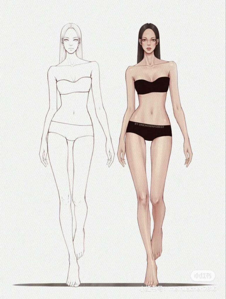 Fashion illustration of a female model in lingerie, with a shaded and a line-drawn version, showcasing design and style.