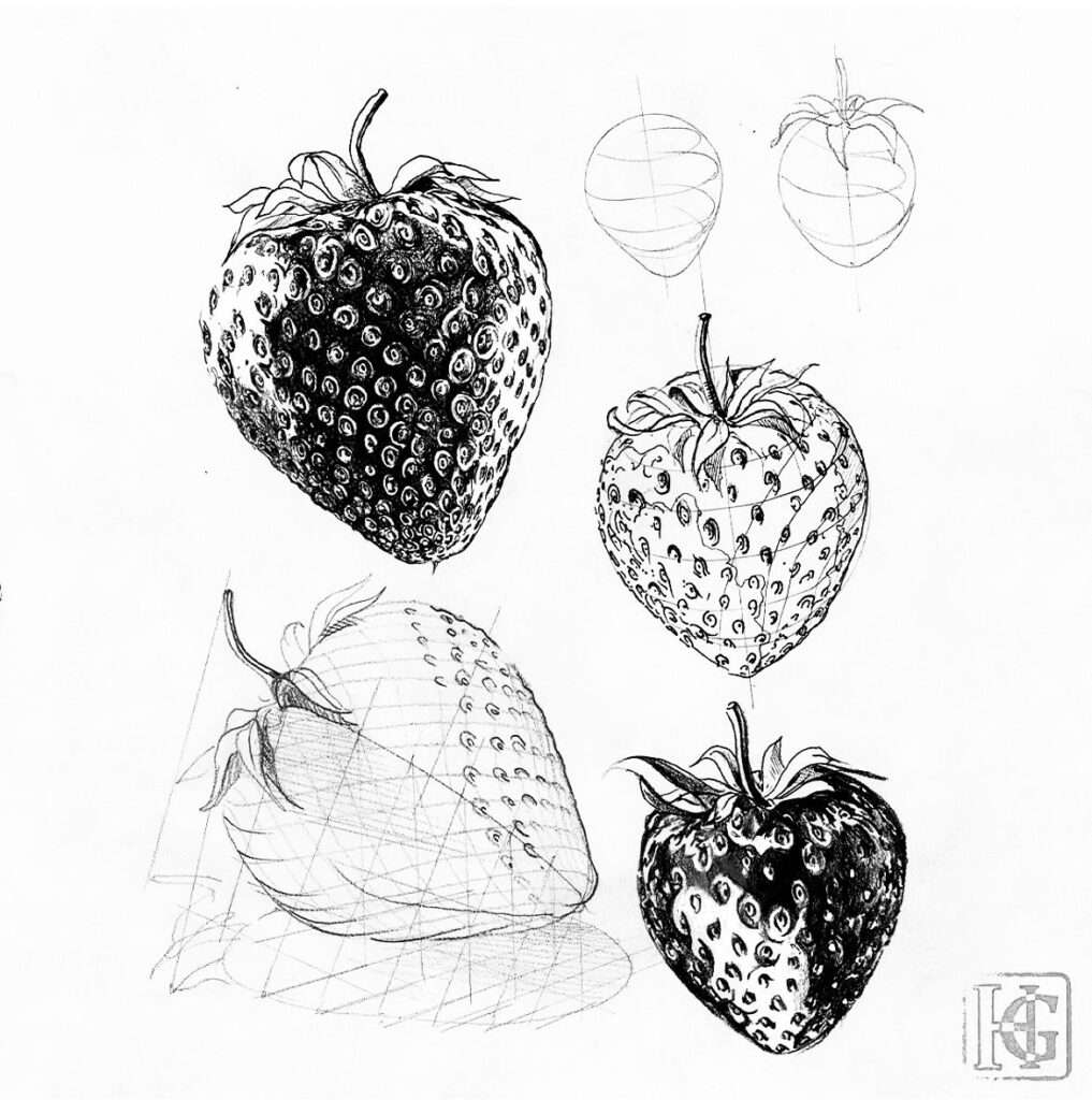 Hand-drawn sketch of strawberries, showcasing detailed textures and shading in various angles and stages of completion.