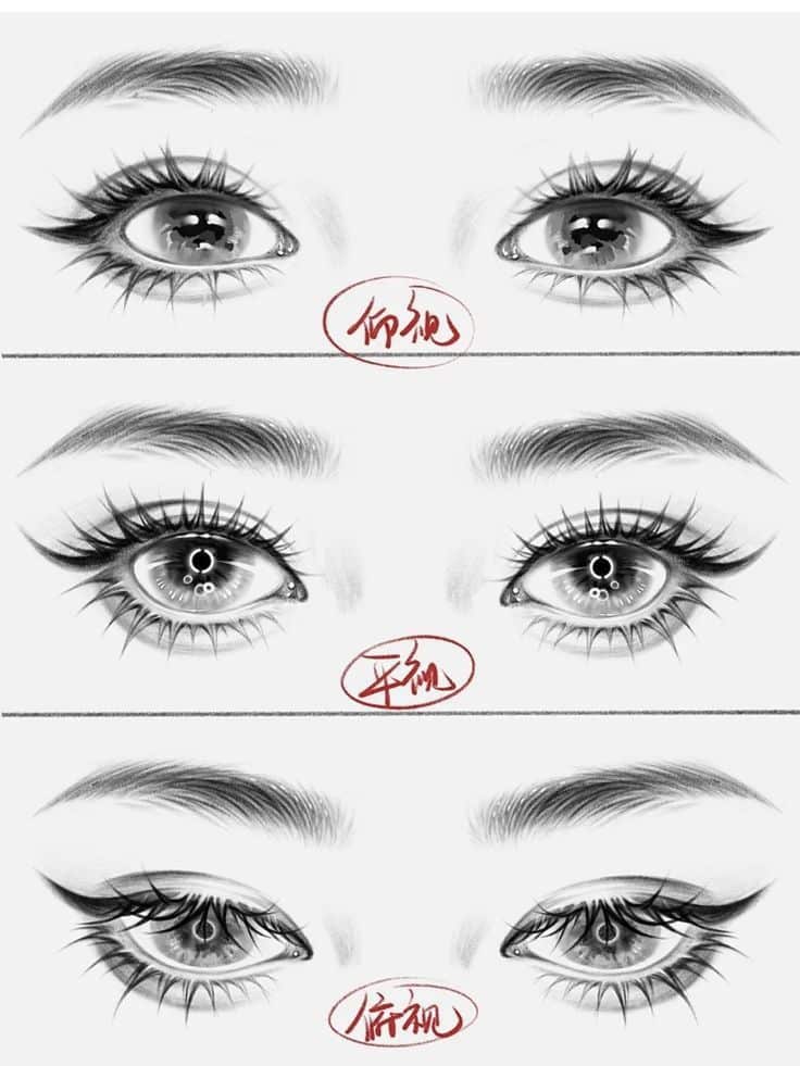 Detailed pencil sketches of expressive eyes with intricate shading and reflections, showcasing artistic techniques.