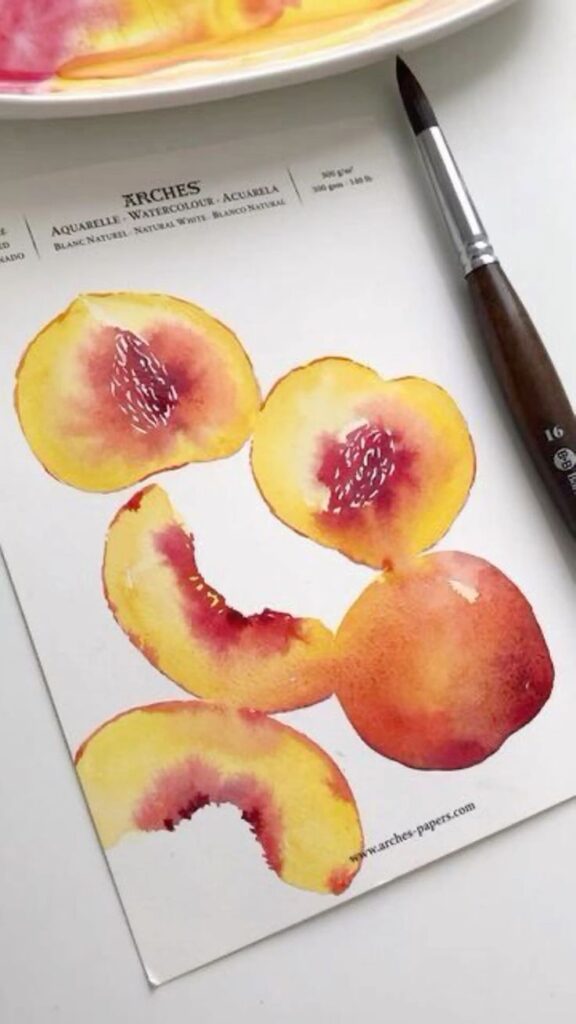 Watercolor painting of peaches on Arches paper with a paintbrush beside it.