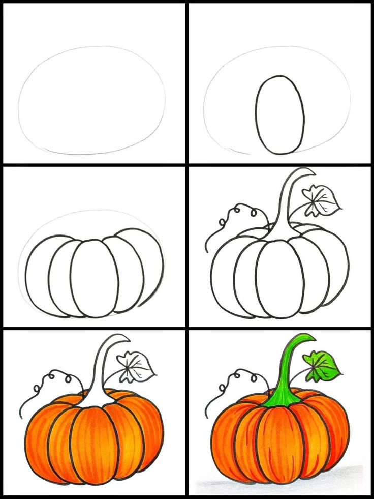 925cec27-8dc0-4f1c-8f0c-15828bc63d87 Step-by-step pumpkin drawing guide: from outline to colored pumpkin with leaf detail. Perfect for beginners. | Sky Rye Design Step-by-step pumpkin drawing guide: from outline to colored pumpkin with leaf detail. Perfect for beginners.