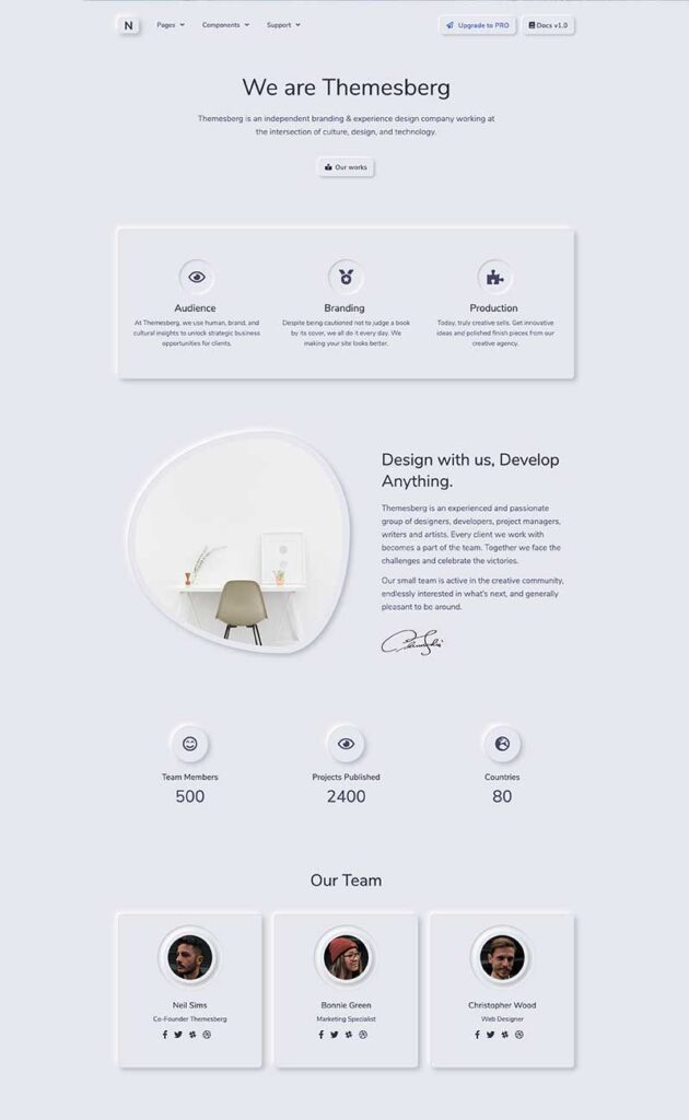 Themesberg company page showcasing branding and design services with team member profiles.