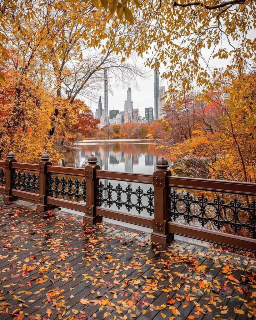 Autumn view of colorful leaves on a park bridge overlooking a city skyline and lake.