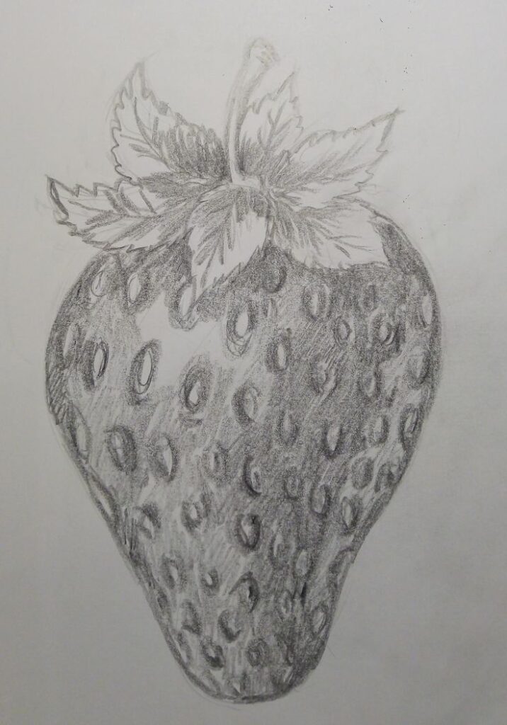 Pencil sketch of a detailed strawberry with leaves, showcasing artistic shading and texture.
