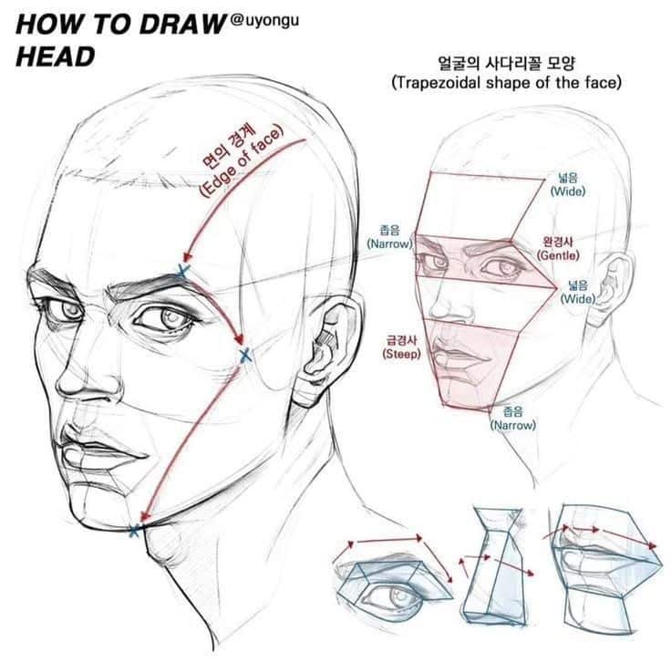 How to draw a head: detailed guide including trapezoidal face shape, angles, and proportions for accurate sketching.