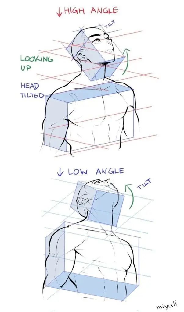 Illustration showing head tilt and perspective angles in drawing: high angle looking up, low angle looking down.