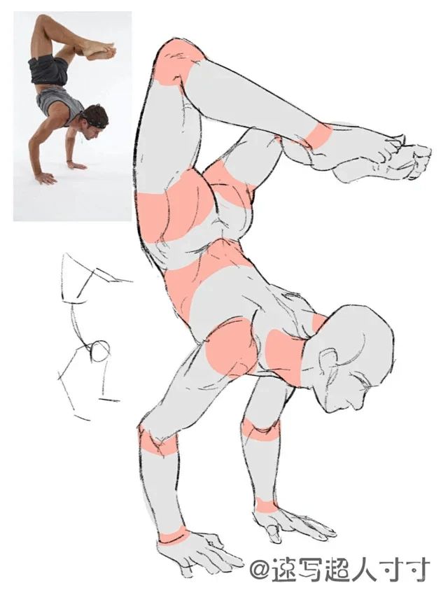 Illustration of a person balancing in a yoga handstand, showing muscle engagement.