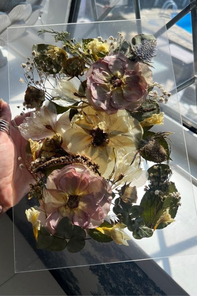 Behind the scenes with artist Earth Tone Pressed flowers in clear frame with sunlight creating vibrant colors and textures, perfect decor piece. | Sky Rye Design Pressed flowers in clear frame with sunlight creating vibrant colors and textures, perfect decor piece.