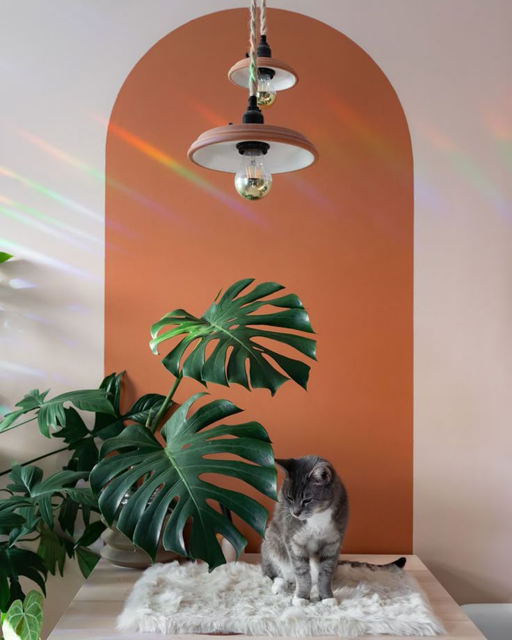 Cozy cat on a fluffy mat with monstera plant and stylish pendant light in modern room setting.