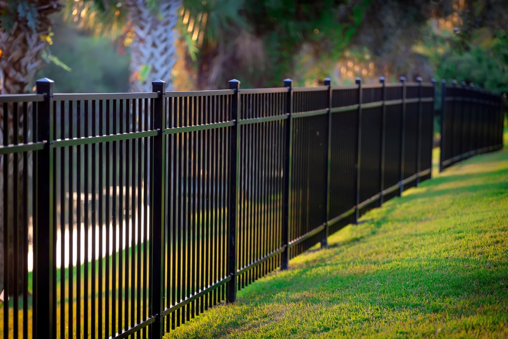DIY vs Professional Fence Installation Which is best for Fencing Black metal fence on lush green grass in a sunny park setting, palm trees in background. | Sky Rye Design Black metal fence on lush green grass in a sunny park setting, palm trees in background.