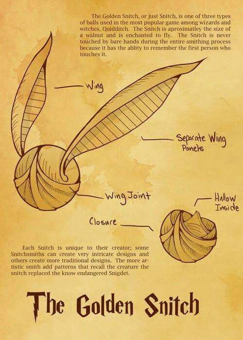 Golden snitch Illustrated diagram of the Golden Snitch, a magical flying ball, showing wings, joint, and closure details. | Sky Rye Design Illustrated diagram of the Golden Snitch, a magical flying ball, showing wings, joint, and closure details.