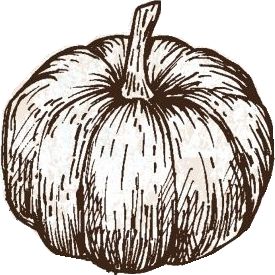 Hand drawn pumpkin design _ Free Vector Hand-drawn illustration of an autumn pumpkin in sepia tones, highlighting fall harvest themes and rustic charm. | Sky Rye Design Hand-drawn illustration of an autumn pumpkin in sepia tones, highlighting fall harvest themes and rustic charm.