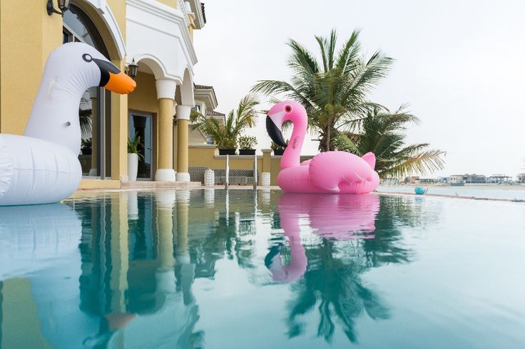 Have a splashing good time with your friends and family at our swimming pool available at Villa Frond O_ Inflatable swan and flamingo floats in a tropical pool, surrounded by palm trees and luxurious architecture. | Sky Rye Design Inflatable swan and flamingo floats in a tropical pool, surrounded by palm trees and luxurious architecture.