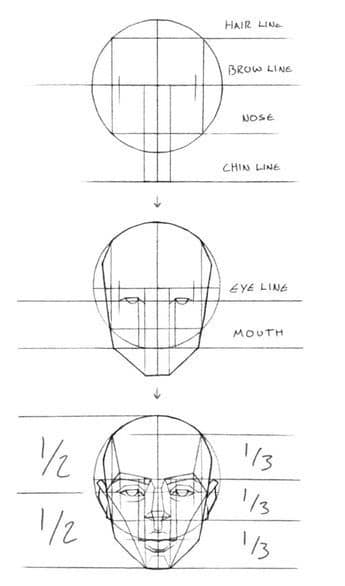 Step-by-step guide on drawing a human face focusing on proportions and facial features for artists.