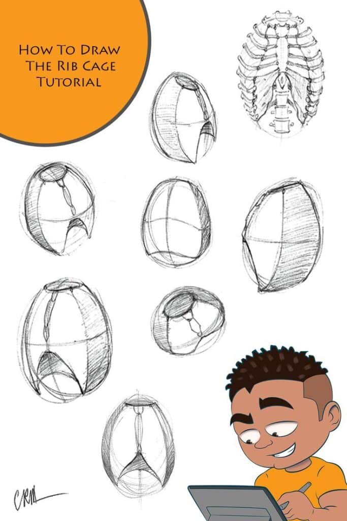 How to draw rib cage tutorial with sketches and cartoon character drawing on a tablet.