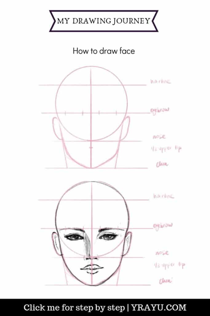 Step-by-step guide to drawing a face with labeled features and proportions for beginners.