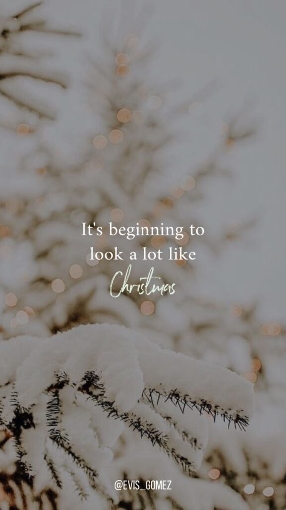Snow-covered pine branches with bokeh lights and It's beginning to look a lot like Christmas text overlay.