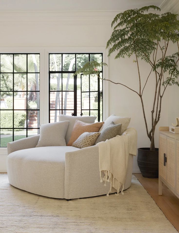 Cozy round armchair with cushions and throw blanket in bright living room by large windows and potted tree.