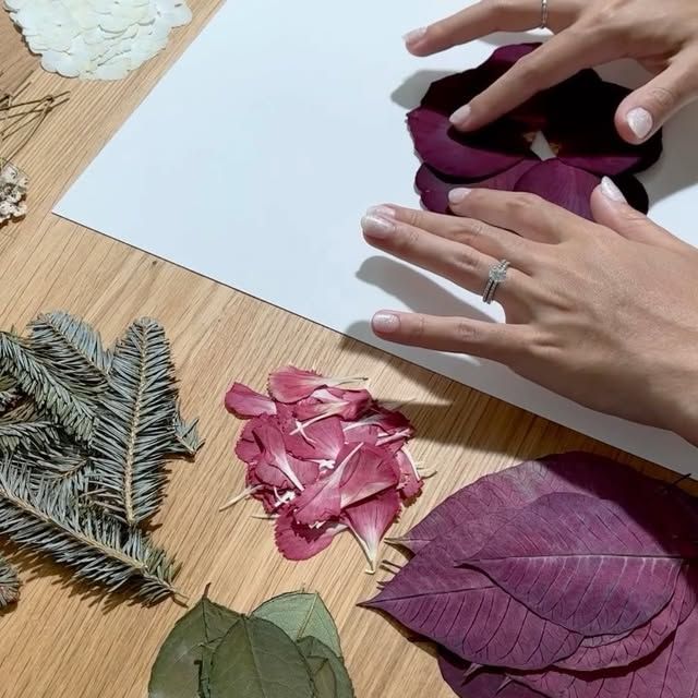 Kaleidobloom _ 8 - A process video exploring a Crafting art with pressed leaves and petals on paper. Hands arrange vibrant botanicals. | Sky Rye Design Crafting art with pressed leaves and petals on paper. Hands arrange vibrant botanicals.