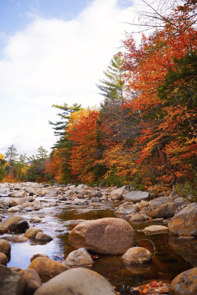 Kancamagus Highway_ Serene river with rocks, lined by vibrant autumn trees against a cloudy sky. | Sky Rye Design Serene river with rocks, lined by vibrant autumn trees against a cloudy sky.