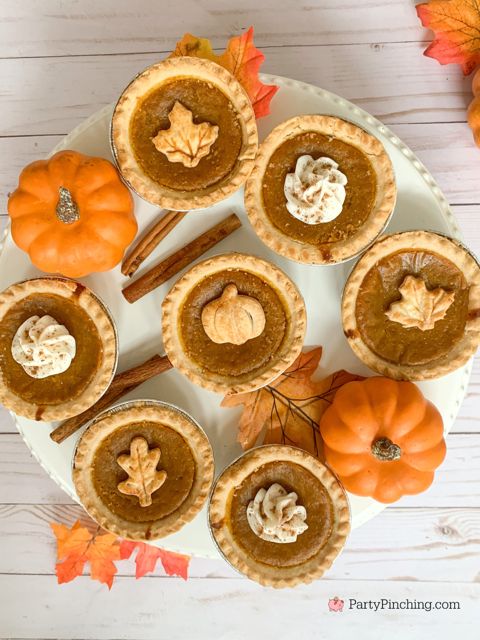 Mini Pumpkin Pies Mini pumpkin pies decorated with leaf and pumpkin designs, surrounded by pumpkins and cinnamon sticks on a white plate. | Sky Rye Design Mini pumpkin pies decorated with leaf and pumpkin designs, surrounded by pumpkins and cinnamon sticks on a white plate.