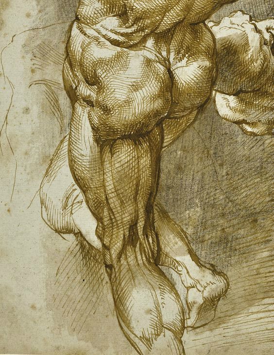 Detailed anatomical sketch of muscular legs and feet showcasing advanced artistic techniques in pencil drawing.