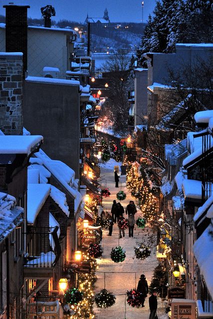Quartier du Petit Champlain Quebec Canada Snowy street adorned with festive lights and decorations, evoking a charming winter atmosphere. | Sky Rye Design Snowy street adorned with festive lights and decorations, evoking a charming winter atmosphere.
