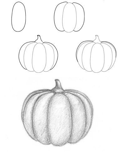 Shaded Pumpkin Step-by-step guide to drawing a pumpkin with oval shapes and shading techniques for realistic effects. | Sky Rye Design Step-by-step guide to drawing a pumpkin with oval shapes and shading techniques for realistic effects.