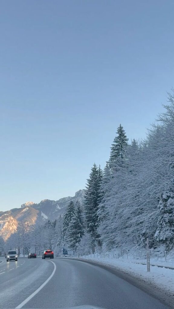 Snowed roadside Winter mountain road with snow-covered trees and cars driving under a clear blue sky. | Sky Rye Design Winter mountain road with snow-covered trees and cars driving under a clear blue sky.