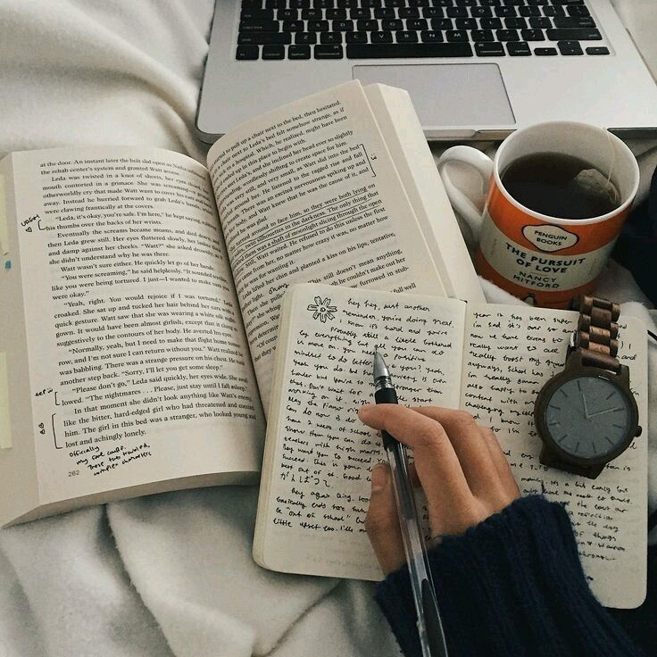 Studying Open book with notes, a journal entry being written, a mug of tea, and a laptop in a cozy setting. | Sky Rye Design Open book with notes, a journal entry being written, a mug of tea, and a laptop in a cozy setting.