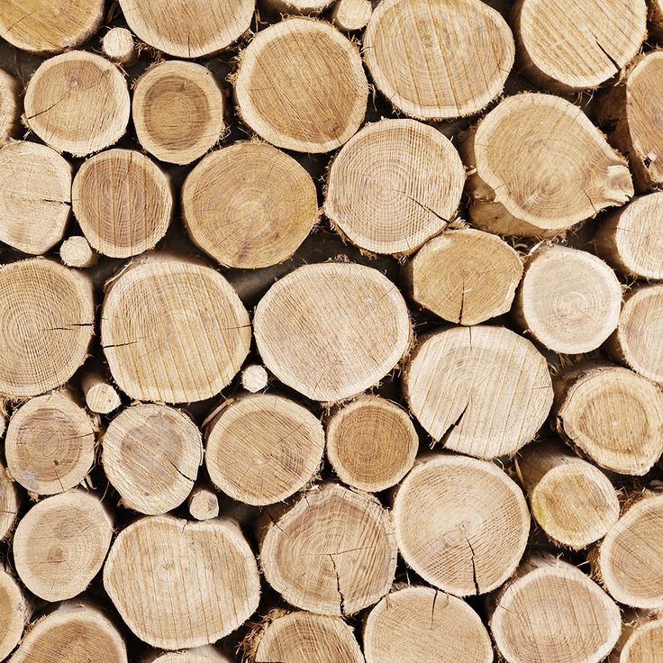 Sustainable Wood Flooring_ 5 Things You Need to Know Before Buying New Floors Stacked cut tree logs with visible growth rings, creating a natural wood texture background. | Sky Rye Design Stacked cut tree logs with visible growth rings, creating a natural wood texture background.