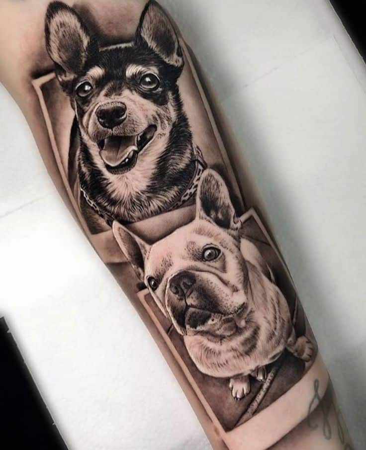 Realistic tattoo of two dogs on forearm, featuring a Chihuahua and a French Bulldog in detailed black and gray art.