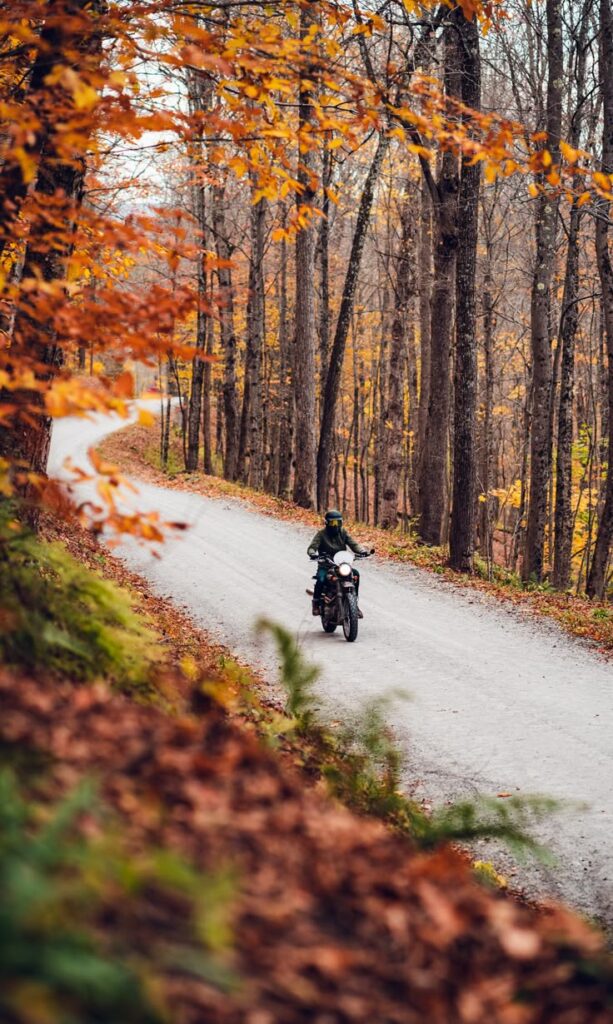 The Long Way Home Motorcyclist rides through scenic autumn forest on a winding dirt road, surrounded by vibrant fall foliage. | Sky Rye Design Motorcyclist rides through scenic autumn forest on a winding dirt road, surrounded by vibrant fall foliage.