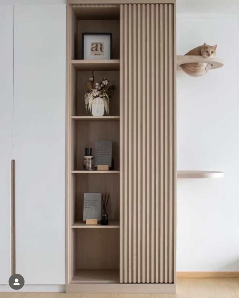 Modern wooden bookshelf with decorative items and a cat lounging on a wall shelf beside it.