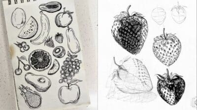Hand-drawn fruit sketches featuring various fruits and detailed strawberries on sketchbook pages.