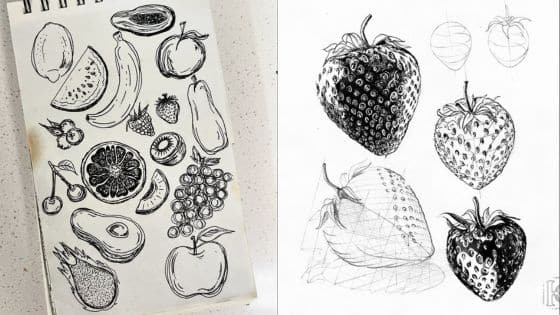 Viewing Deck Blog - 2025-10-06T215144702 Hand-drawn fruit sketches featuring various fruits and detailed strawberries on sketchbook pages. | Sky Rye Design Hand-drawn fruit sketches featuring various fruits and detailed strawberries on sketchbook pages.