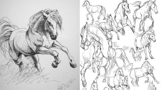 Viewing Deck Blog - 2025-10-20T211114346 Detailed black and white horse sketches depicting dynamic movement and different poses. | Sky Rye Design Detailed black and white horse sketches depicting dynamic movement and different poses.