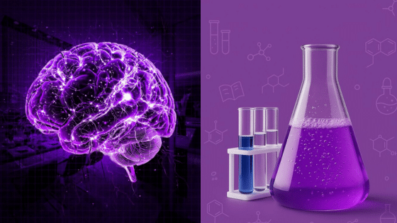 Viewing Deck Blog 3 Purple glowing brain with scientific background, and beaker with test tubes against a purple laboratory-themed background. | Sky Rye Design Purple glowing brain with scientific background, and beaker with test tubes against a purple laboratory-themed background.